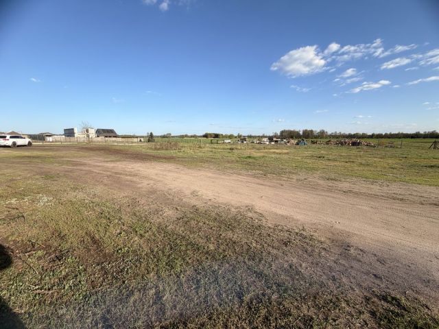 Działka budowlana Murzynowo Leśne. Zdjęcie 1