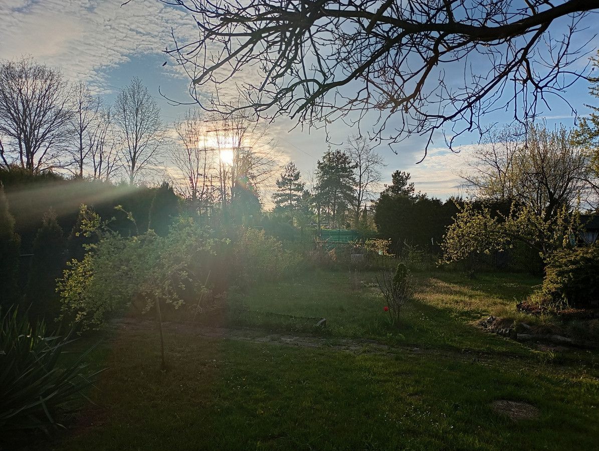 Działka rod Sosnowiec, ul. Portowa. Zdjęcie 9