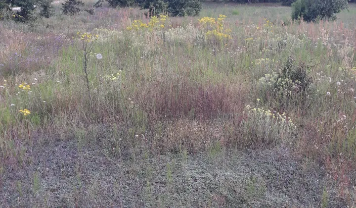 Działka rolno-budowlana Rzeczków