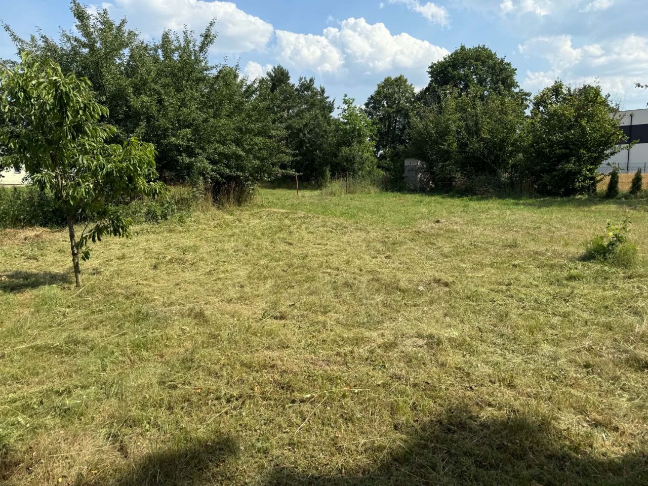 Działka budowlana Nowy Adamów, Nowy Adamów. Zdjęcie 5