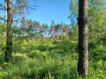 Działka rolna Małe Rudy, ul. Jeziorowa. Zdjęcie 2