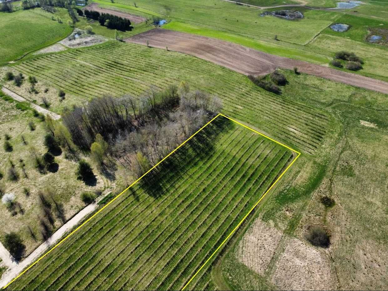 Działka rolno-budowlana Lauda. Zdjęcie 2