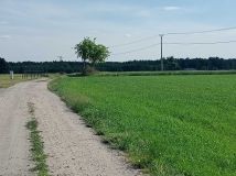 Działka budowlana Trzebiegoszcz. Zdjęcie 4