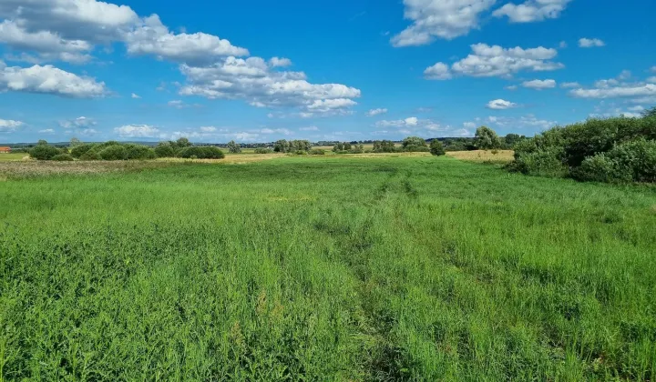 Działka rolna Wąwelnica