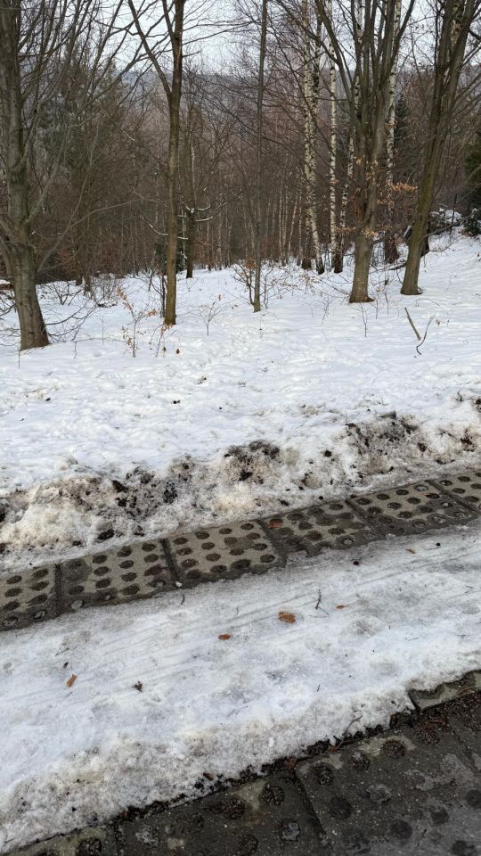 Działka rekreacyjna Wilkowice Górne Wilkowice, ul. Narciarska. Zdjęcie 4