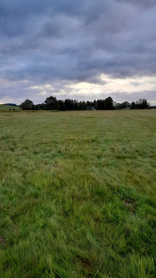 Działka siedliskowa Stara Kamienica, ul. Spacerowa. Zdjęcie 3