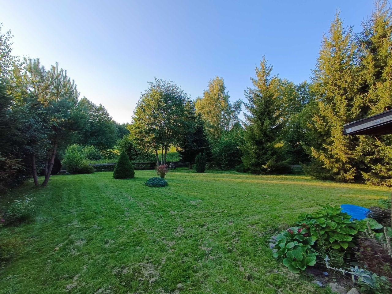 Działka rolno-budowlana Wójtowo. Zdjęcie 3