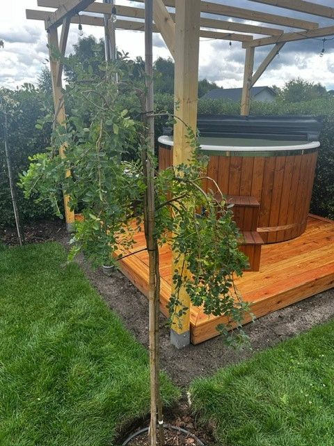 dom wolnostojący, 3 pokoje Brzezie k. Sulechowa. Zdjęcie 13