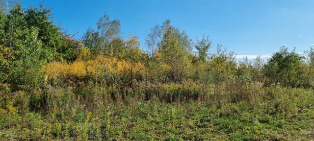 Działka budowlana Żółwin. Zdjęcie 1