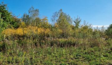 Działka budowlana Żółwin