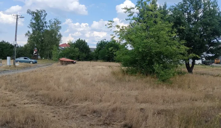 Działka rolna Rudnik nad Sanem