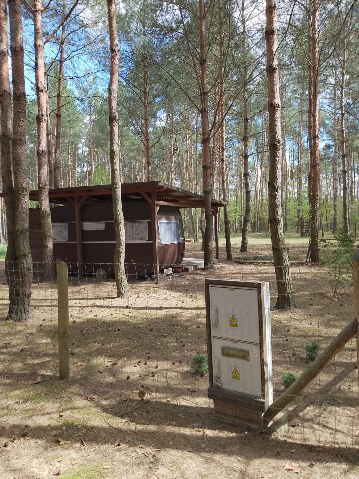 Działka budowlana Nowe Wymyśle, Jutrzenki. Zdjęcie 5