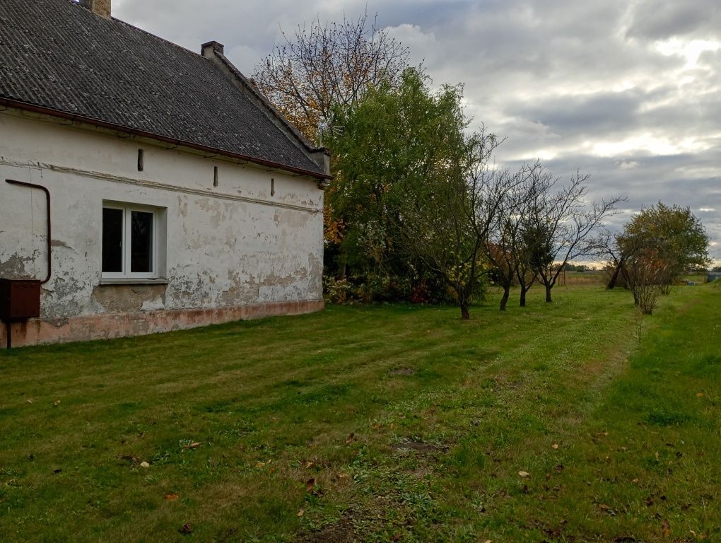 gospodarstwo Jankowice. Zdjęcie 3