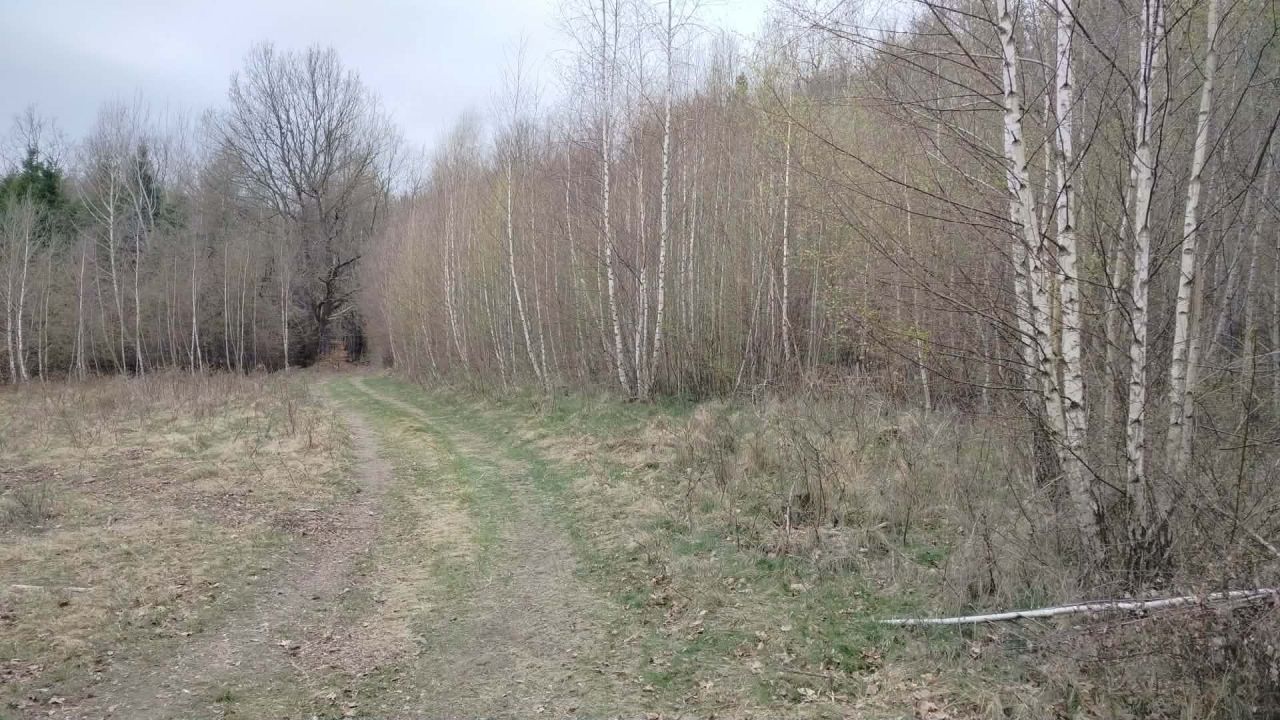 Działka rolno-budowlana Kocierz Moszczanicki, ul. Gronikowa. Zdjęcie 6