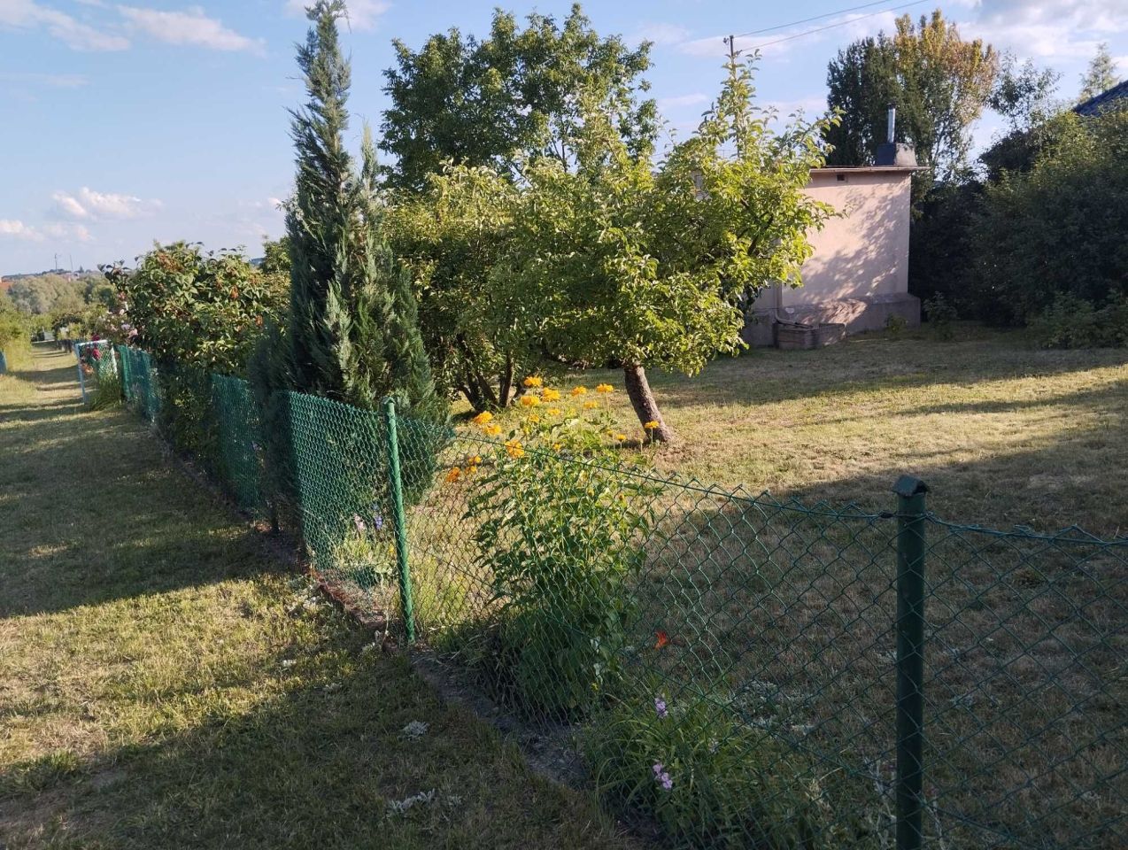 Działka rod Świebodzin, ul. Partyzancka. Zdjęcie 4