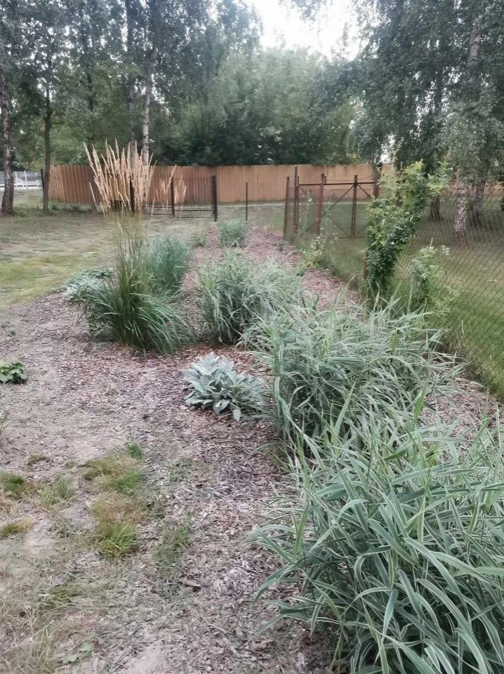 Działka rekreacyjna Miłocin. Zdjęcie 6