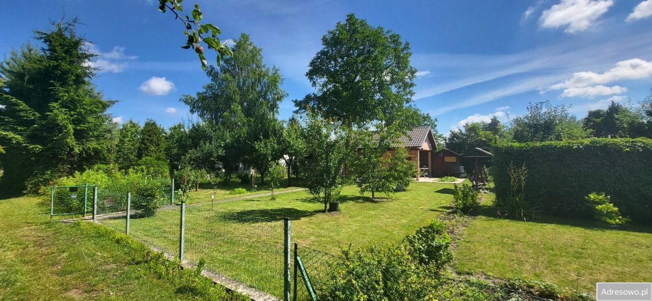 Działka rod Elbląg, ul. Warszawska. Zdjęcie 5