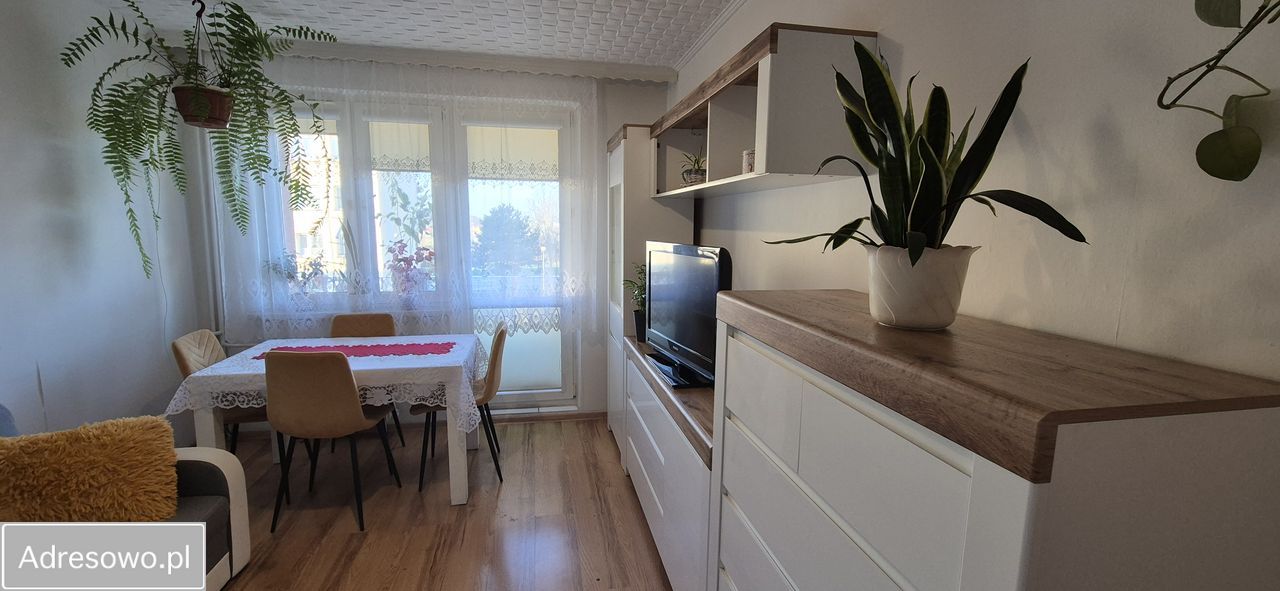 Mieszkanie 2-pokojowe Jastrzębie-Zdrój, os. 1000-lecia. Zdjęcie 4