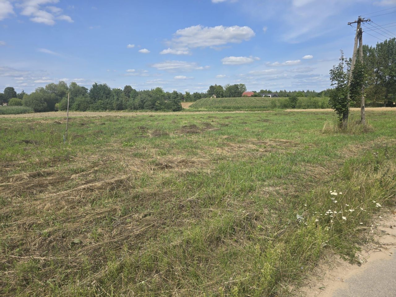 Działka budowlana Jedlanka Stara. Zdjęcie 2