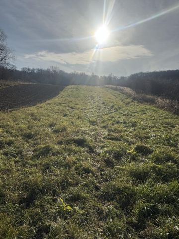 Działka rekreacyjna Przemyśl Kruhel Wielki, ul. Łowiecka. Zdjęcie 1
