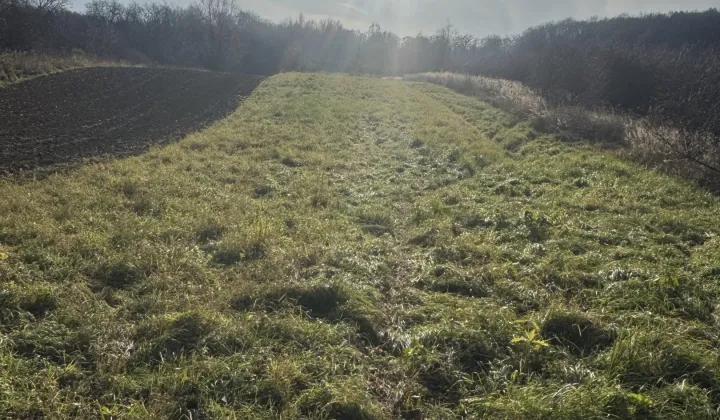 Działka rekreacyjna Przemyśl Kruhel Wielki, ul. Łowiecka