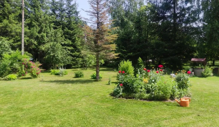 Działka budowlana Niechobrz