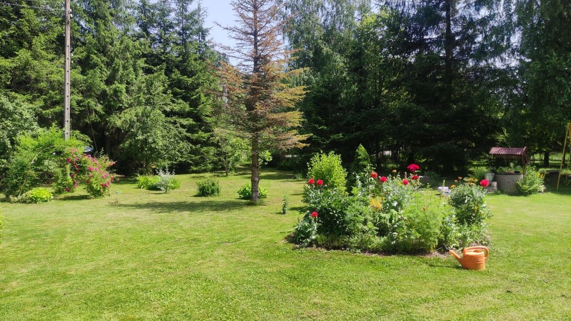 Działka budowlana Niechobrz. Zdjęcie 1