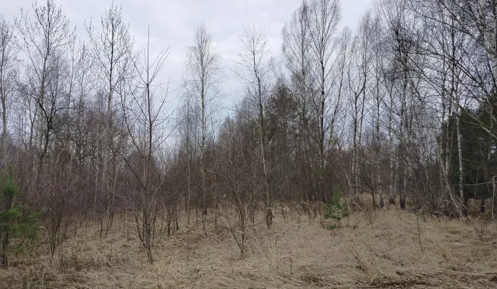 Działka rolno-budowlana Radomsko, ul. Hubala