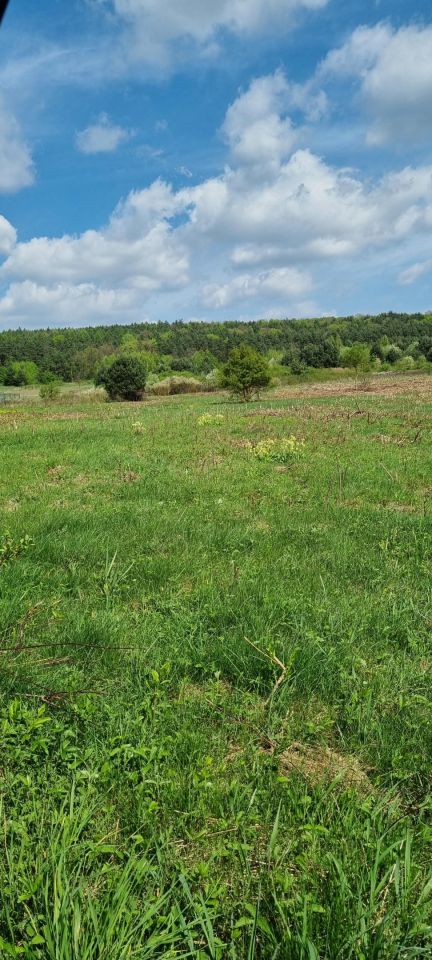 Działka budowlana Chęciny, ul. Sitkówka. Zdjęcie 5