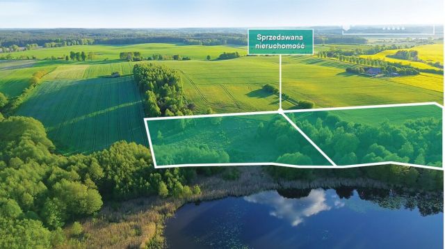 Działka budowlana Dziki. Zdjęcie 9