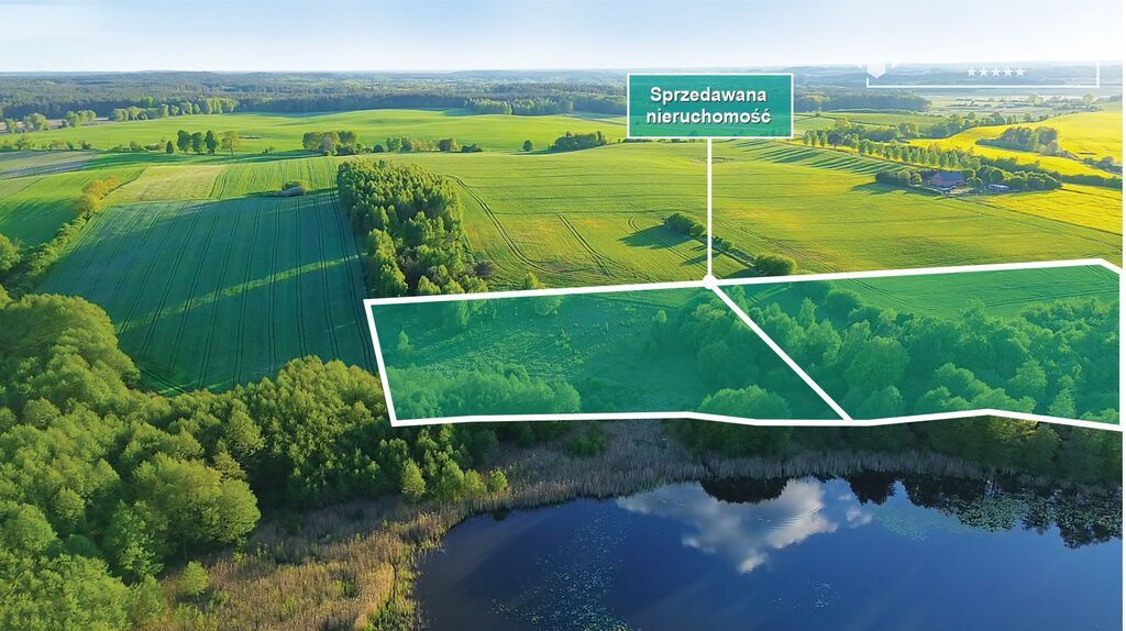 Działka budowlana Dziki. Zdjęcie 9