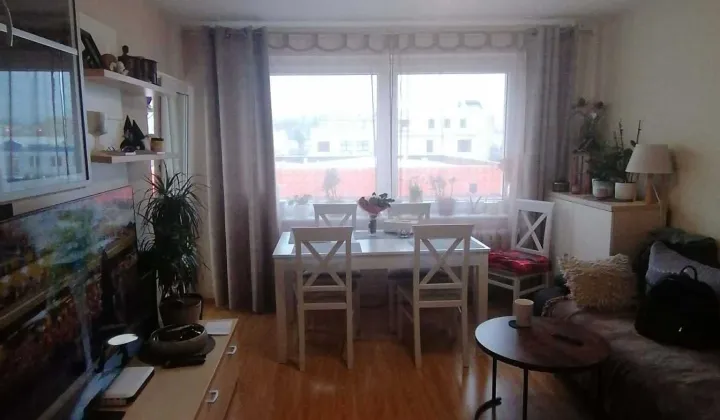 Mieszkanie 3-pokojowe Sulęcin, os. Osiedle Kopernika