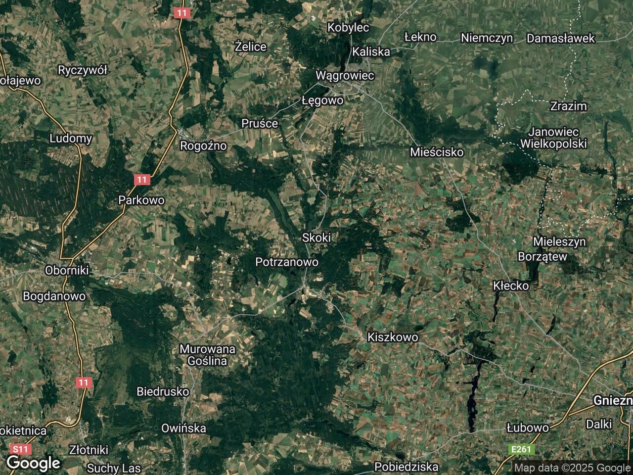 kamienica Skoki