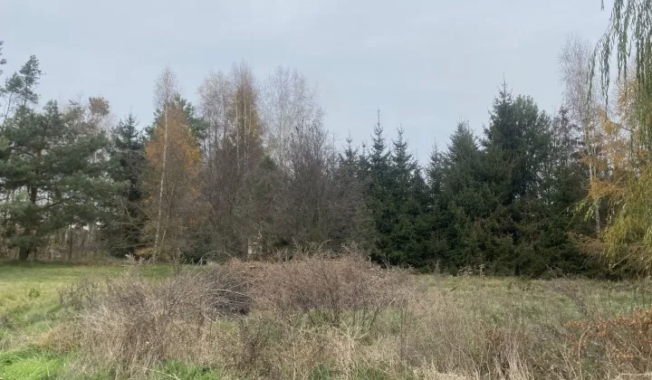 Działka budowlana Kaszczor, ul. Sosnowa