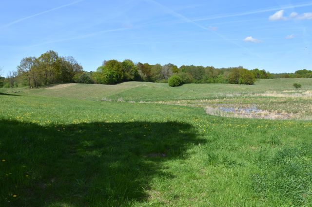 dom wolnostojący, 5 pokoi Ścienne. Zdjęcie 33