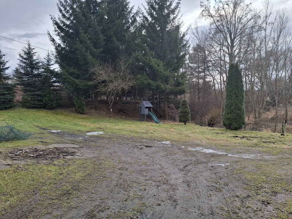 dom wolnostojący Olszyna. Zdjęcie 5