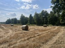 Działka rolna Konradów. Zdjęcie 2