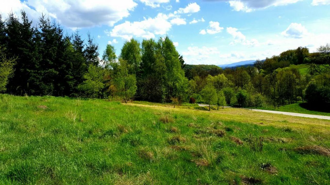 Działka budowlana Sułów. Zdjęcie 2