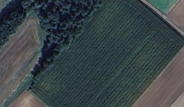 Działka rolna Waśniów Osada Młyńska, Wespazjana Kochowskiego