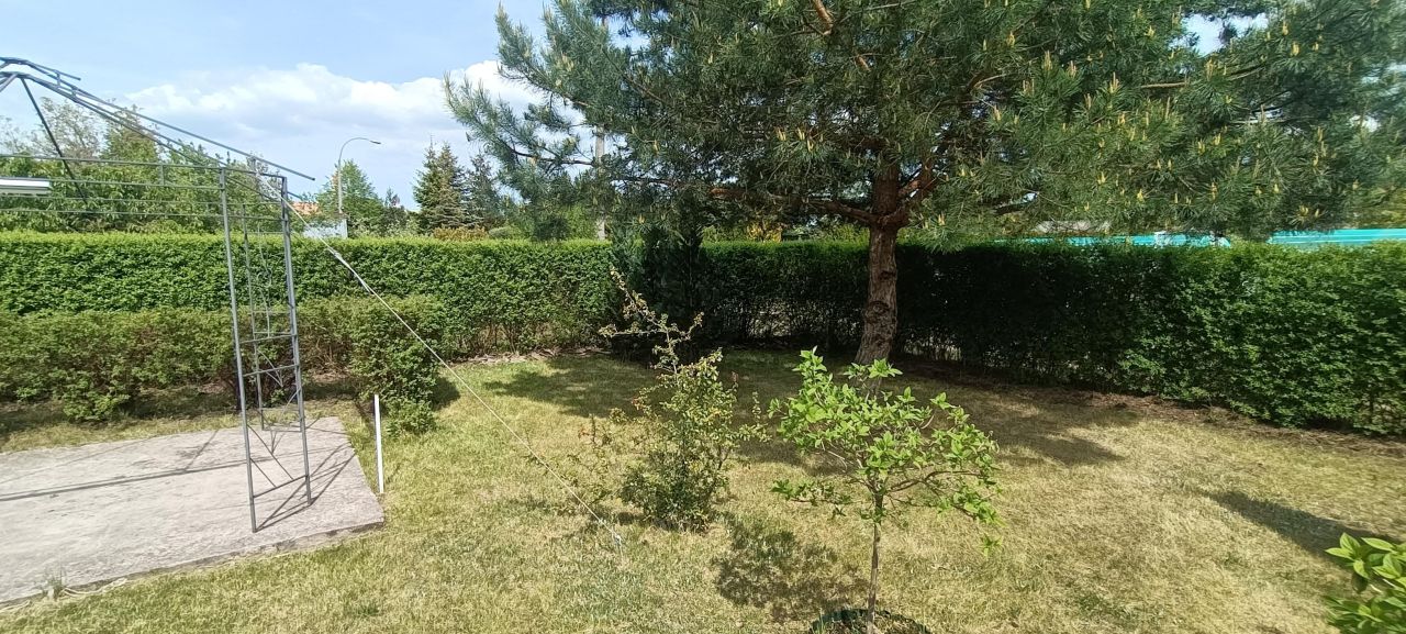 Działka rod Łódź Górna, ul. Lodowa. Zdjęcie 32