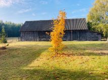 Działka rolno-budowlana Rząśnik-Majdan. Zdjęcie 2