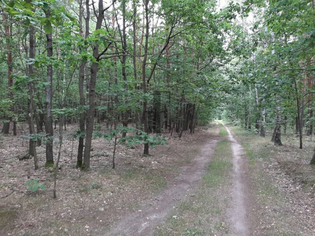 Działka budowlana Gójszcz. Zdjęcie 3