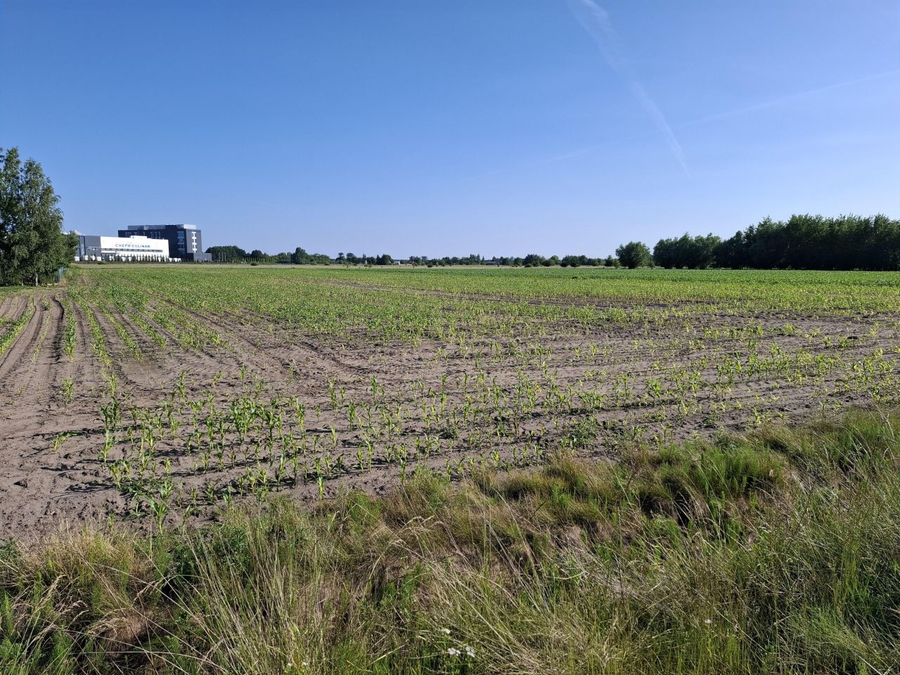 Działka inwestycyjna Nowy Drzewicz. Zdjęcie 5