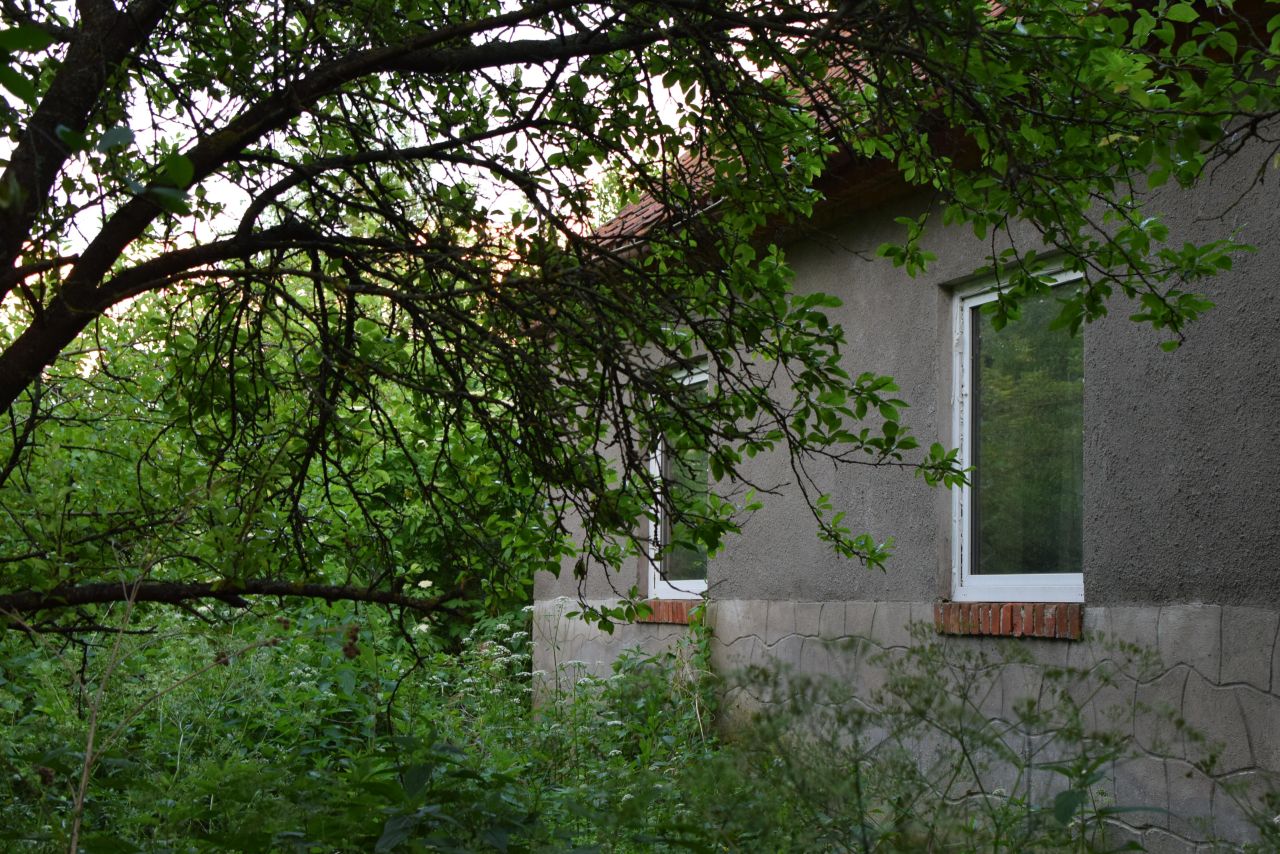 Działka siedliskowa Rogity. Zdjęcie 3