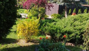 dom wolnostojący, 6 pokoi Sewerynów