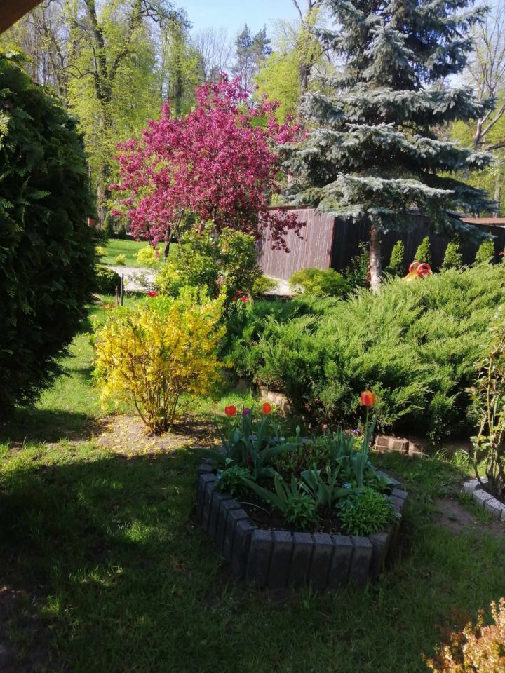 dom wolnostojący, 6 pokoi Sewerynów. Zdjęcie 2