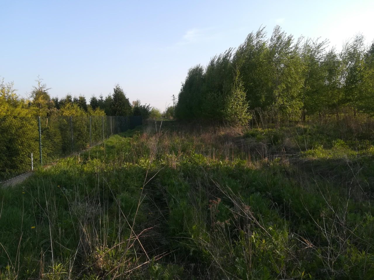 Działka budowlana Rąbień. Zdjęcie 6