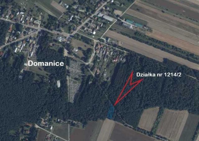 Działka leśna Domanice. Zdjęcie 1