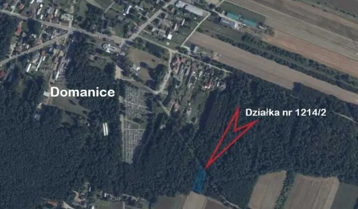 Działka leśna Domanice