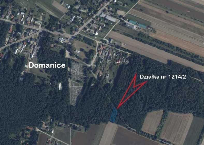 Działka leśna Domanice. Zdjęcie 1